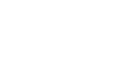 میگا ون logo