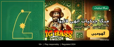 بہترین سلاٹس کا تجربہ کریں