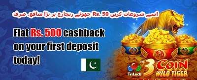 دوست کو لائیں بونس promotion